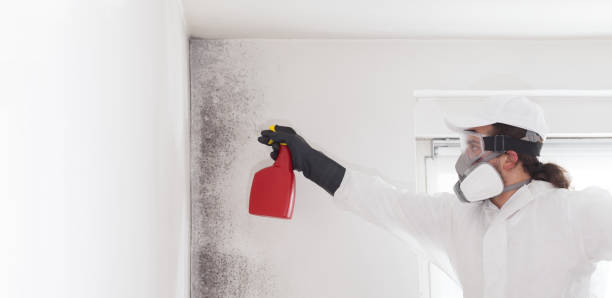 Best Crawl Space Mold Removal  in Cedar Hill, MO