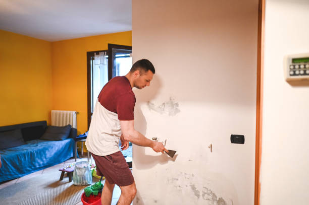 Best Same-Day Mold Removal  in Cedar Hill, MO